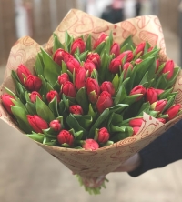 Букет 51 красный тюльпан