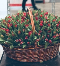 Корзина 201 красный тюльпан